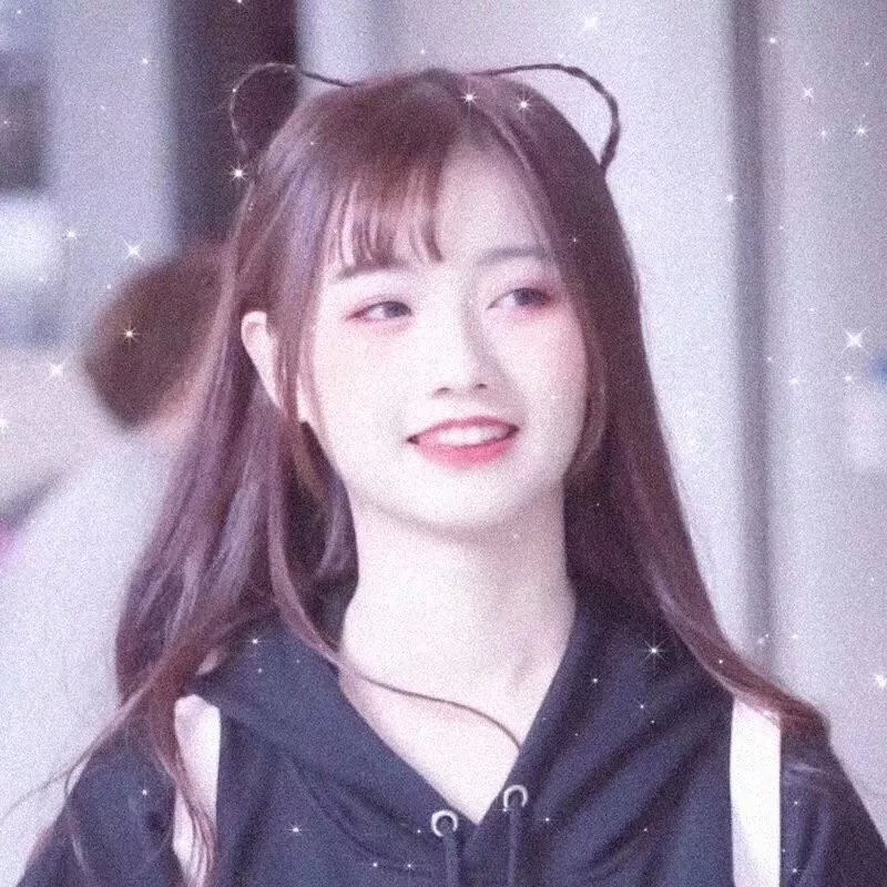 南北少林